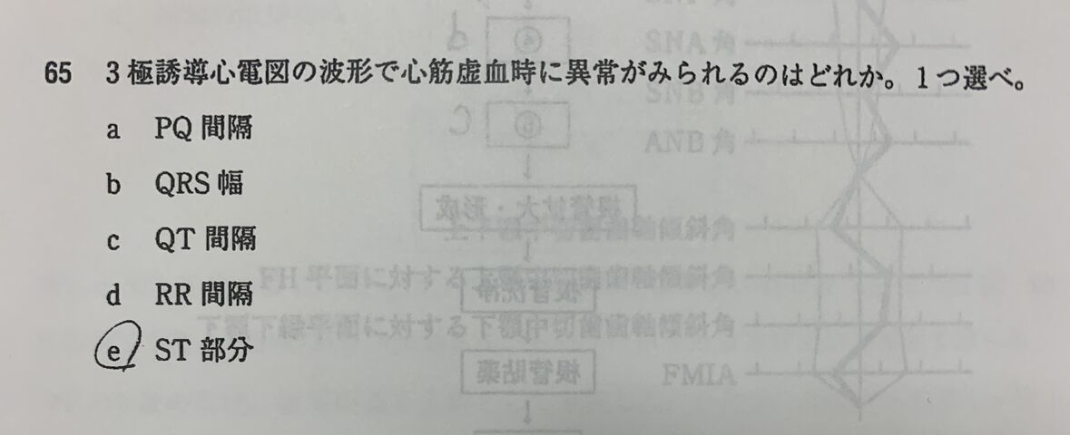 781BE575-7CAF-4D4B-BD9B-B16E89C79685